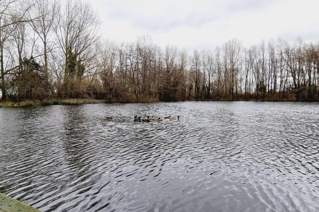 *L'Ecrin De L'Etang* Depaysement Assure Villa Bourbourg Eksteriør billede
